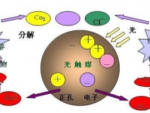 美國(guó)家具甲醛釋放量標(biāo)準(zhǔn)倍受重視