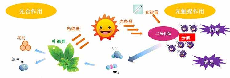 家中甲醛超標(biāo)，什么才是甲醛治理的正確姿勢？